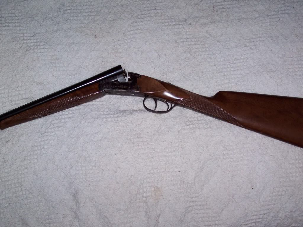 doubleguns004.jpg