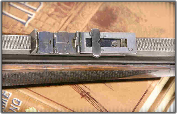 lee_speed_detail.jpg