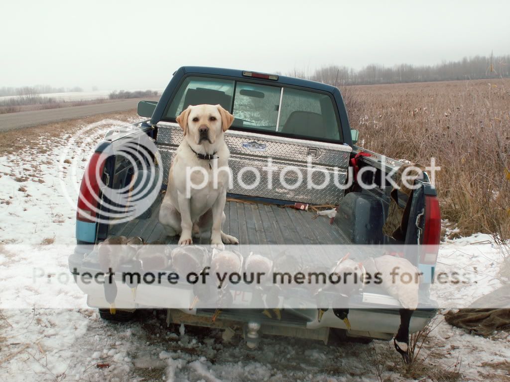 Pict0002.jpg