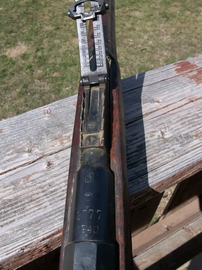 CraigsFinn006.jpg