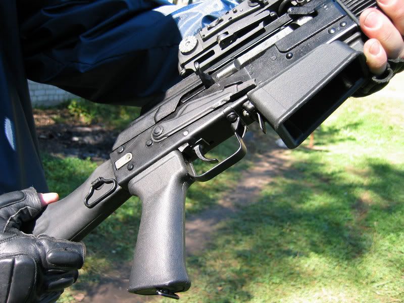 saiga-001.jpg
