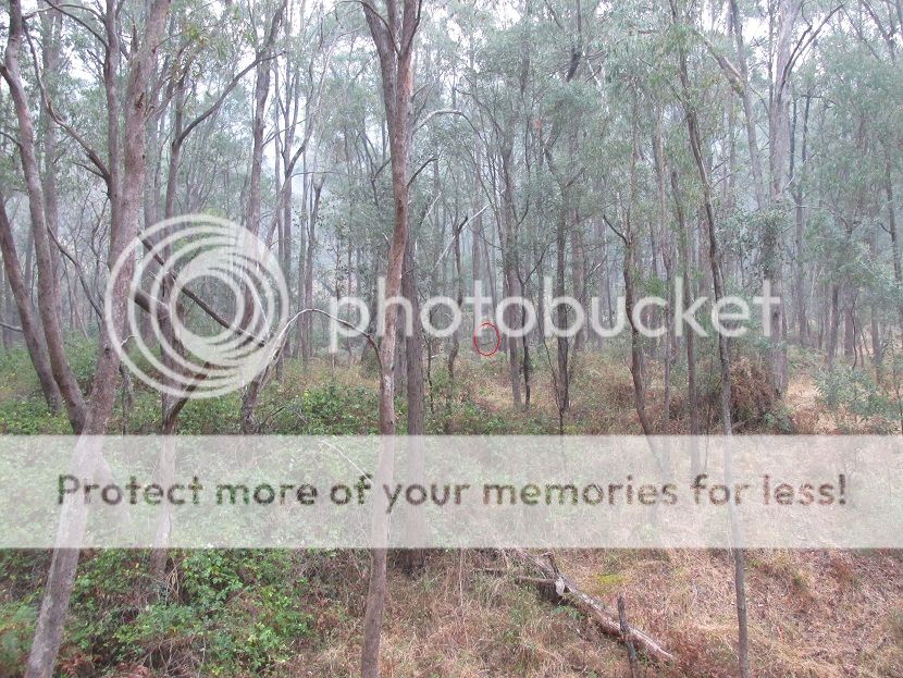 IMG_0430_aftershot.jpg~original