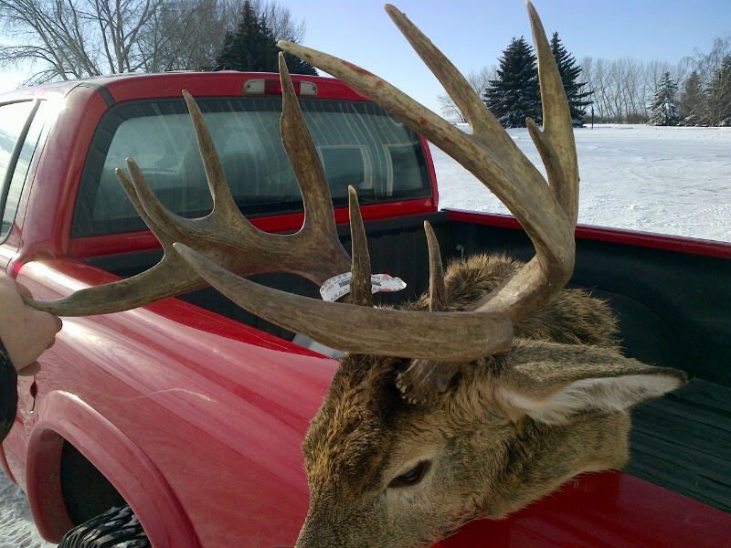 ethandeer3.jpg