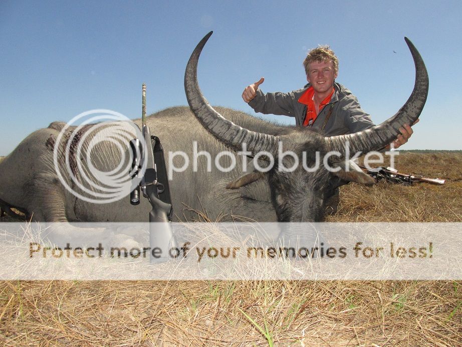 IMG_1398MastrophyCow.jpg~original