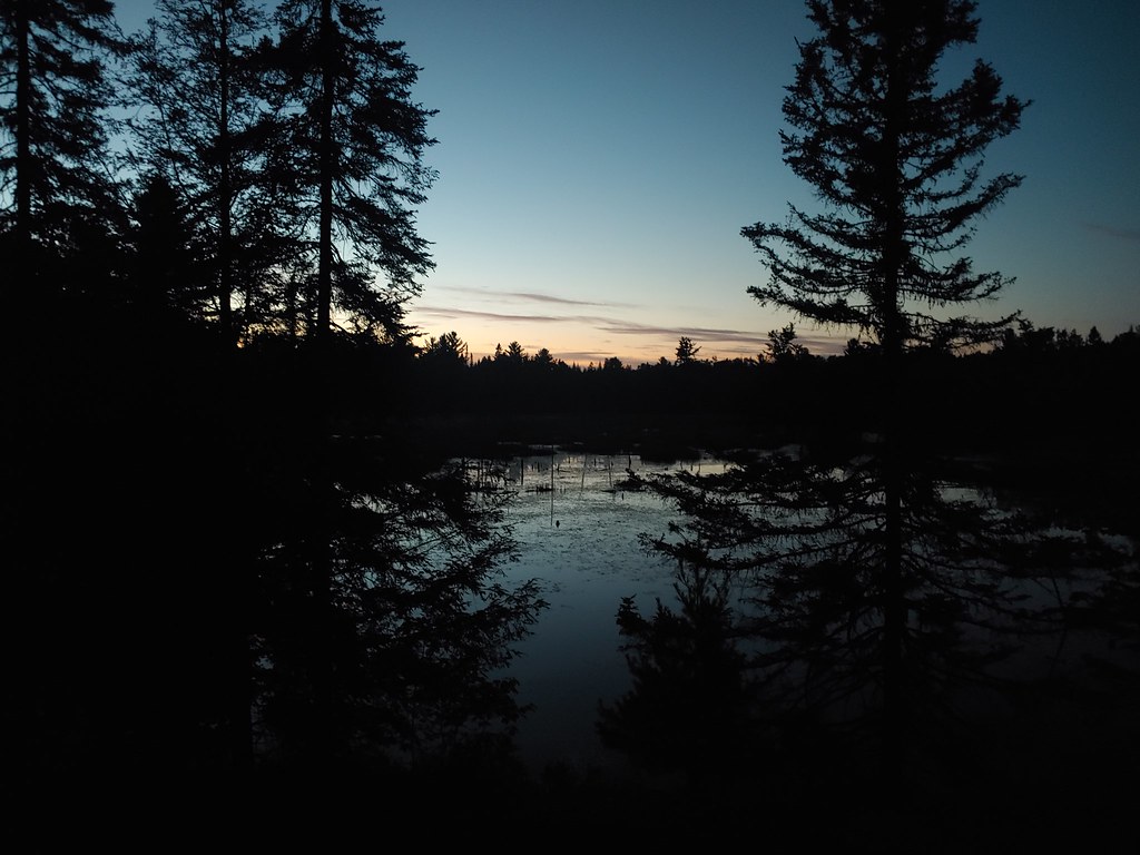 54764159418_ff7cf6b978_b.jpg