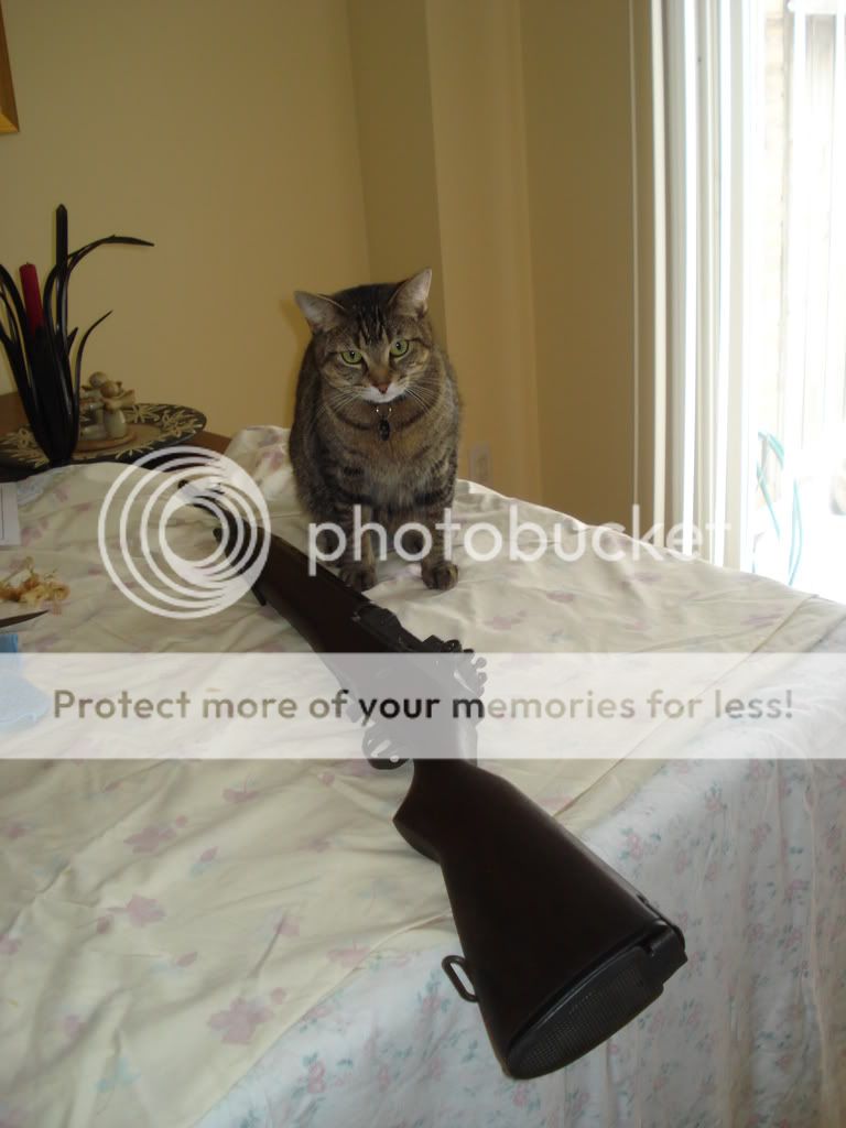 JANUARY09173.jpg