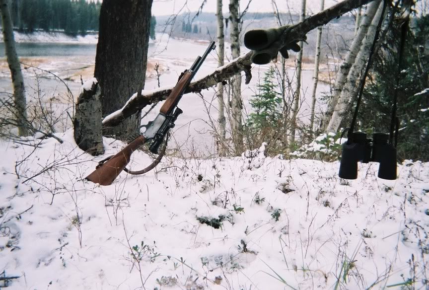 0340398-R1-042-19A.jpg