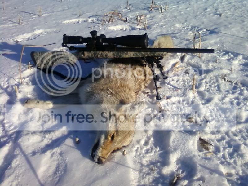 feb2012yote023.jpg