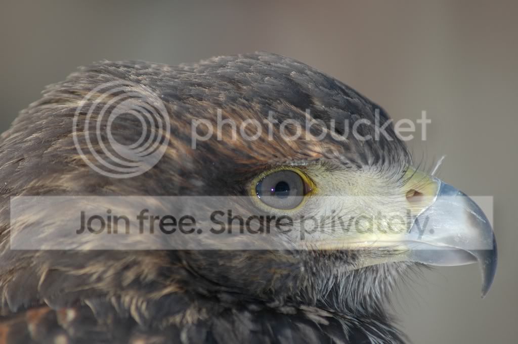 DSC_0047.jpg