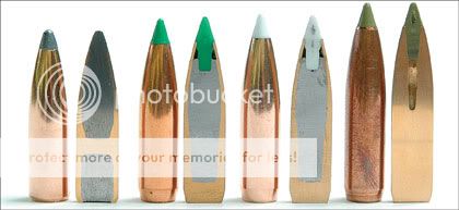 ST_Nosler_200802a.jpg