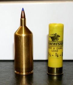 12b.jpg