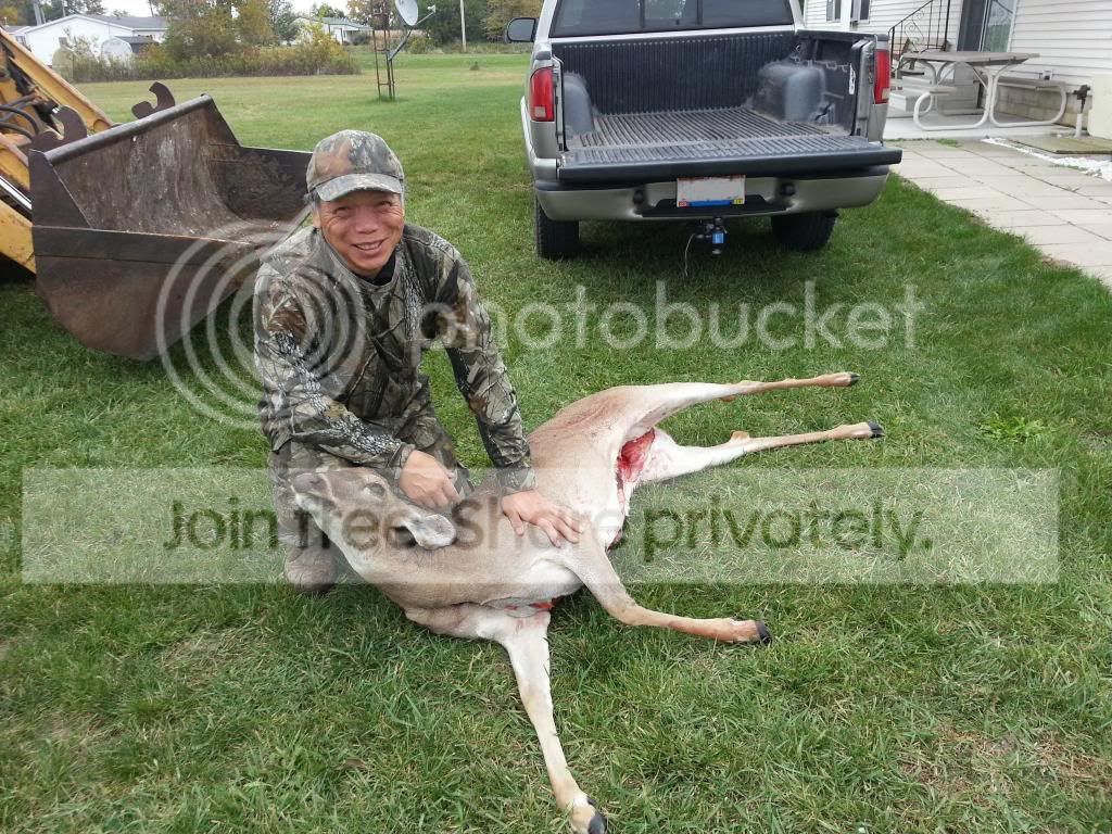 deer_2012.jpg