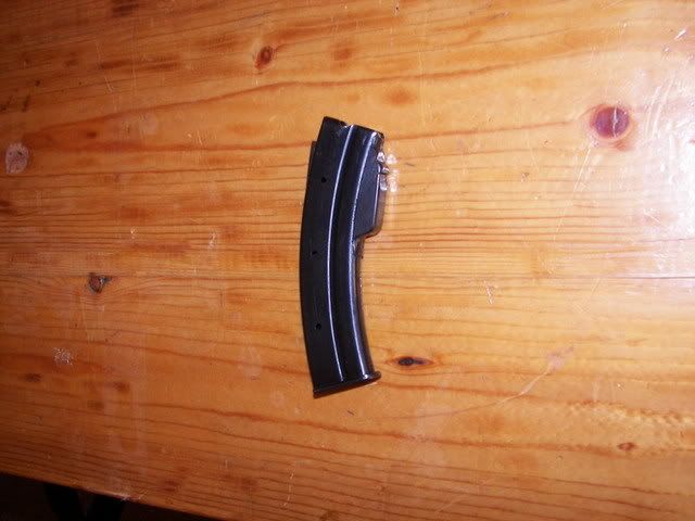 100_06571.jpg