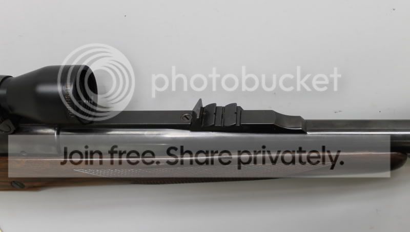 UG55874Rugerexpresssights.jpg