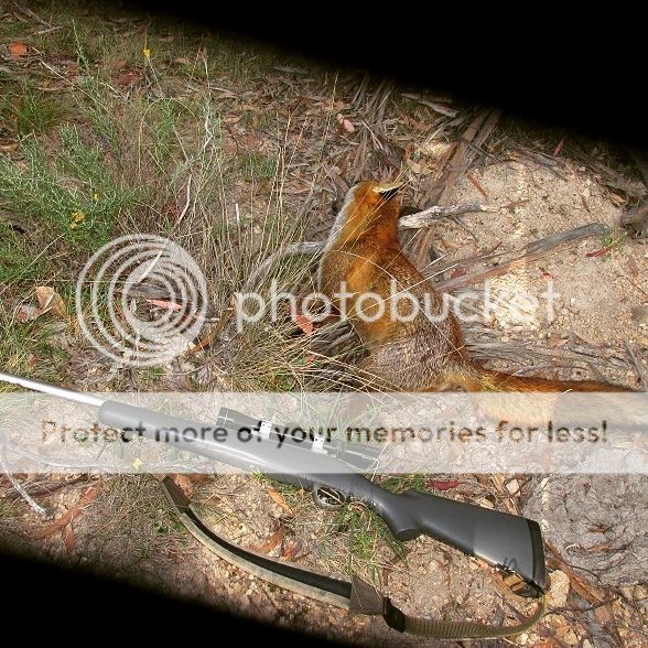 IMG_20160306_121605.jpg~original