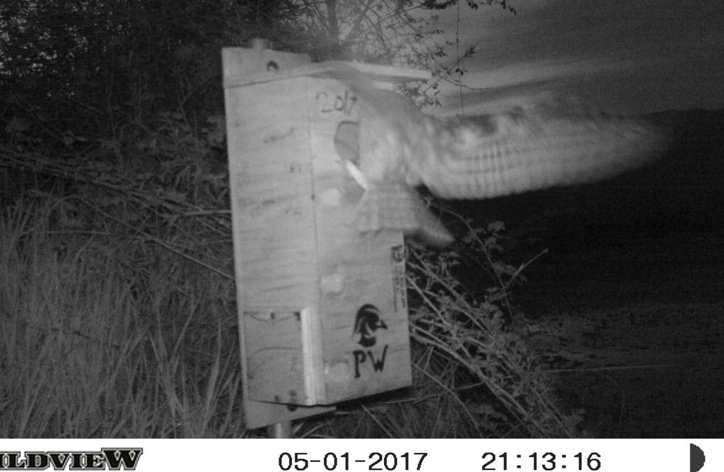 image_zps5ubdjvx1.jpeg~original