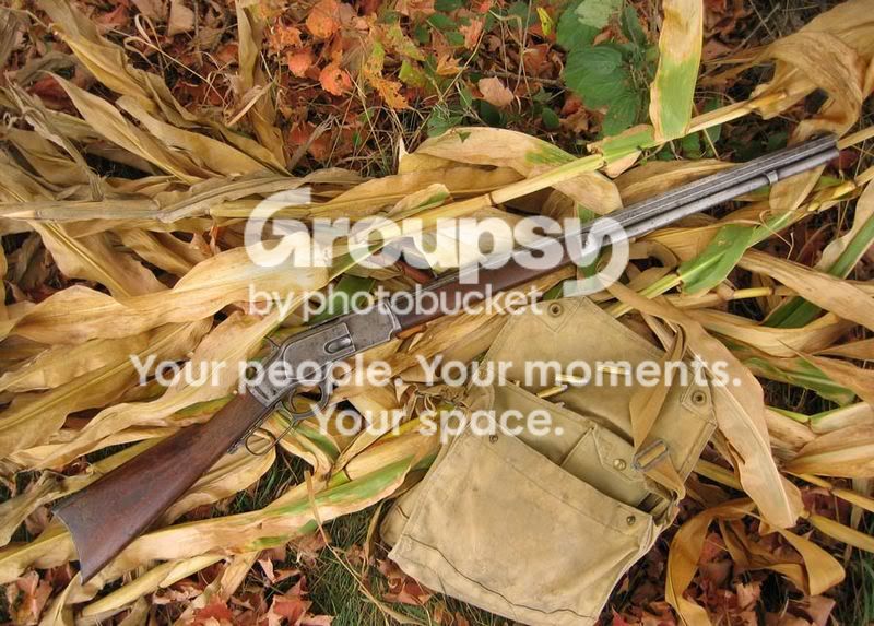 73-Corn.jpg