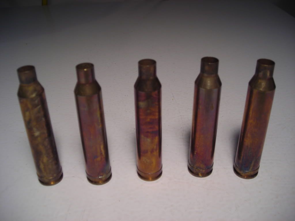 DSCN1113.jpg