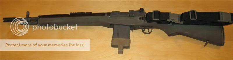 IMG_1730Medium.jpg
