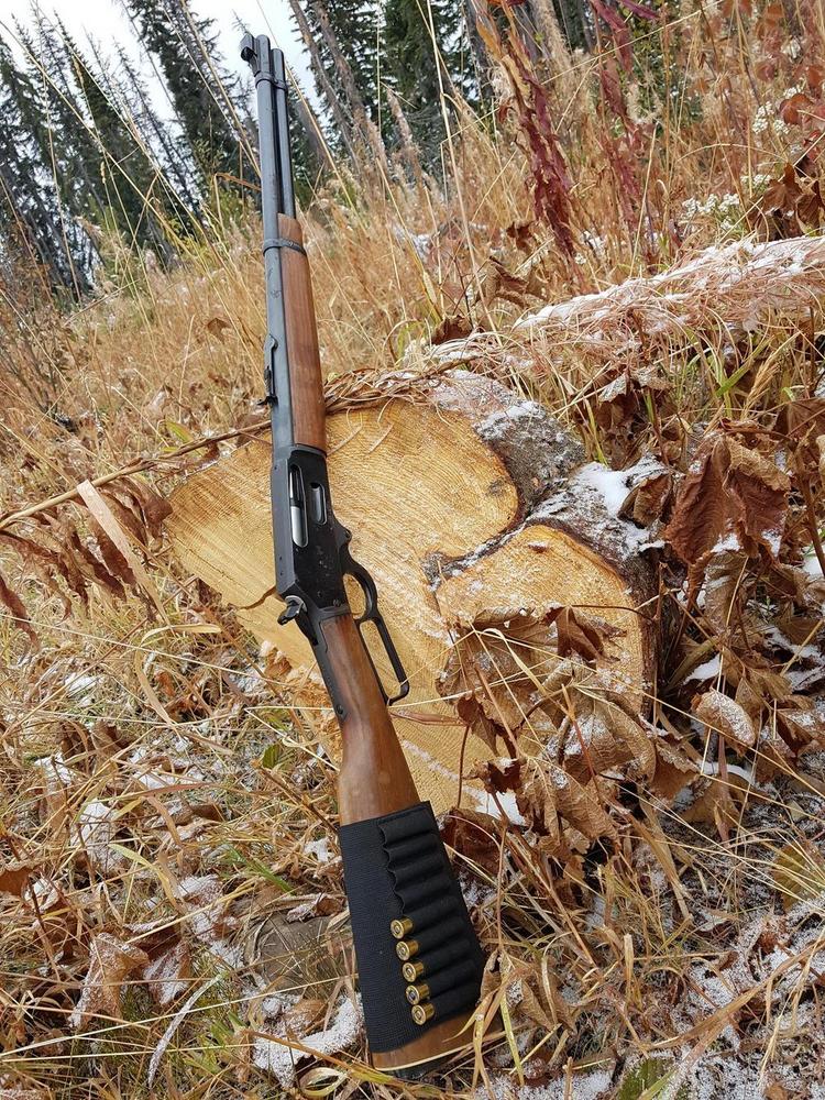 iA1cxWy.jpg