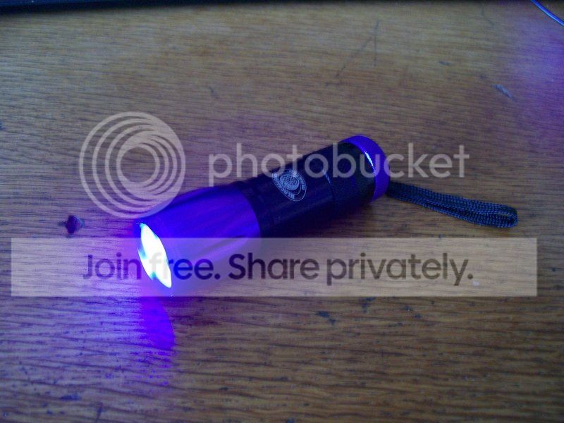 black%20light%20001_zps1ju0b6it.jpg