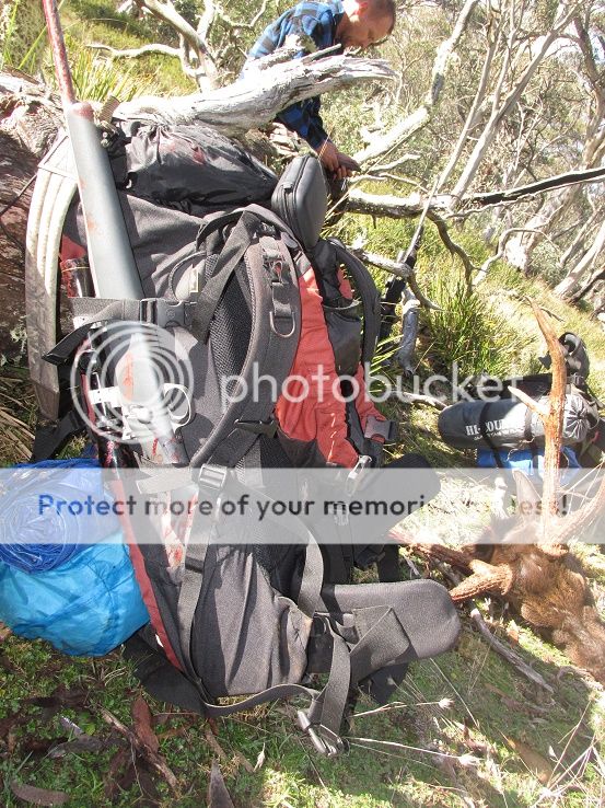 IMG_3383kimpackingout.jpg~original