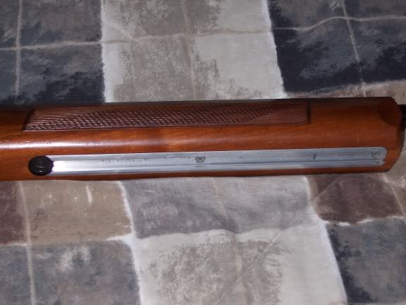 c8b92634.jpg