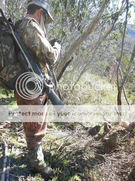 DSCN0788firstlook.jpg~original