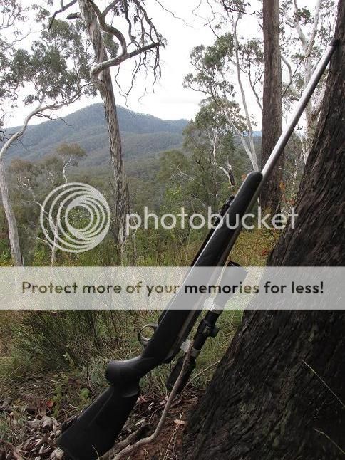 IMG_0984dryt3.jpg~original