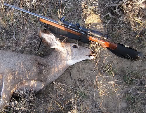Ruger1bipod.jpg