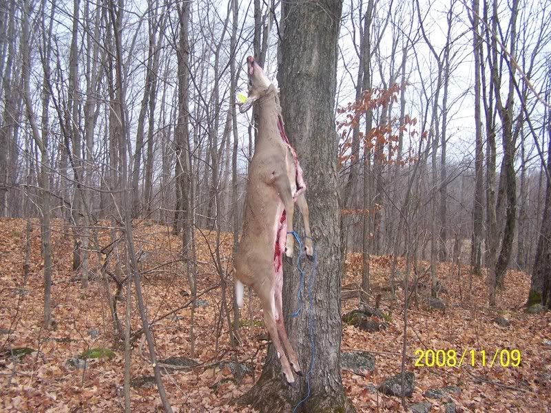 2008deerhunt001.jpg