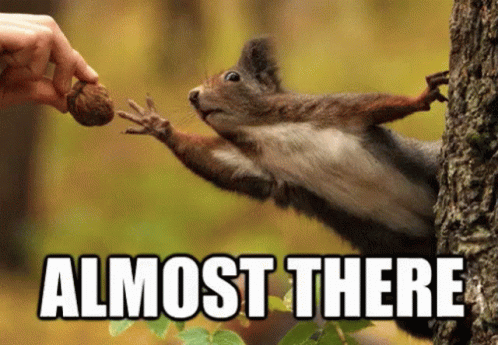 almost-there-squirrel.gif