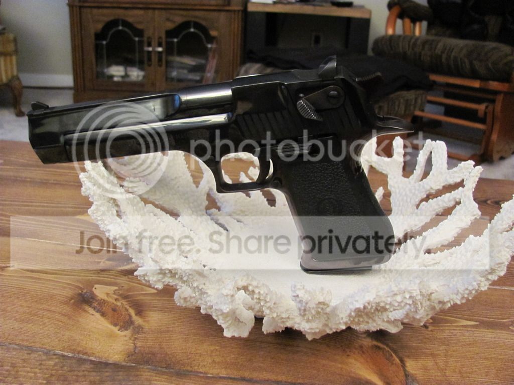 IMG_0833_zpsgq6y32fk.jpg