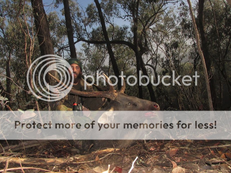 IMG_3077Stagsideon.jpg~original