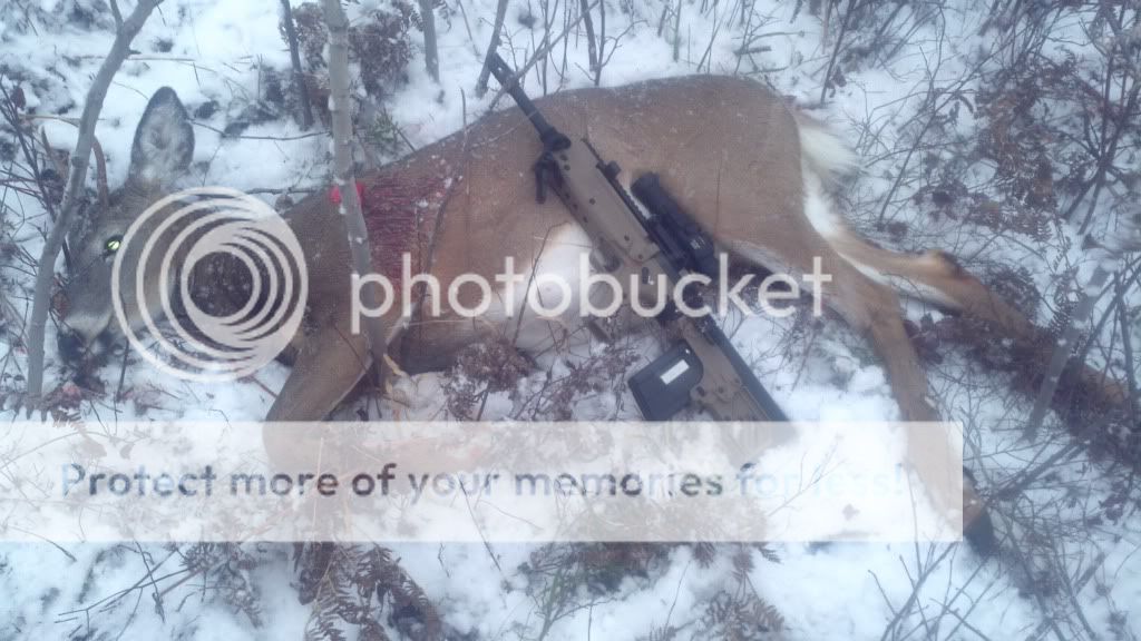 2011-10-30_08-38-19_983.jpg~original