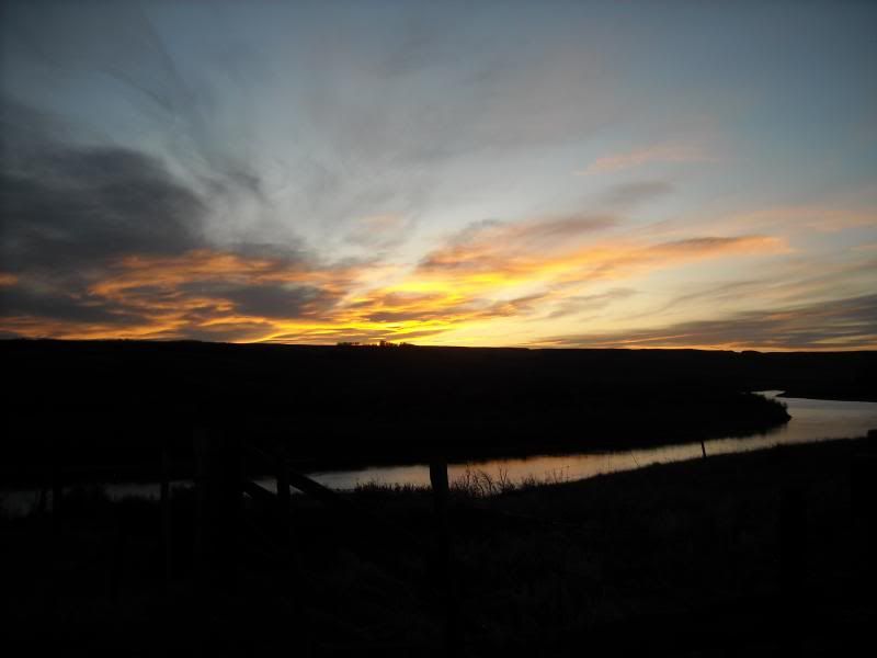 DSCN0837_zps709645ba.jpg