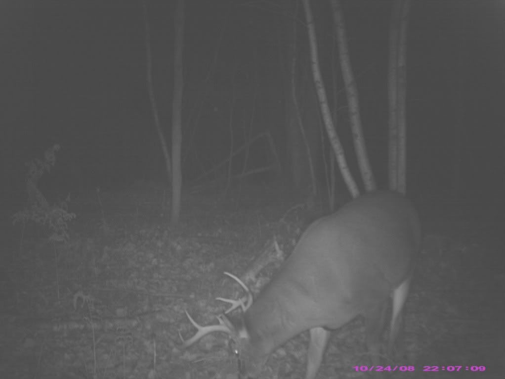 PIC_00092.jpg