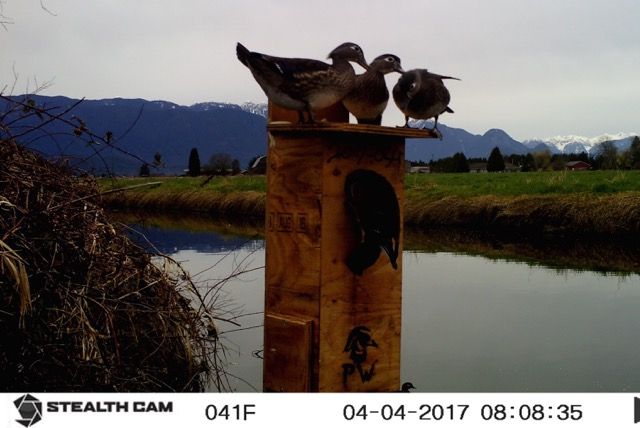 image_zpsoob1dgn8.jpeg~original