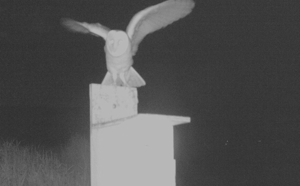 image_zpsxplkvacn.jpeg~original