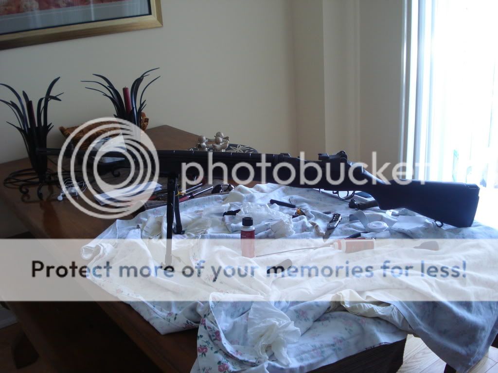 feb09013.jpg