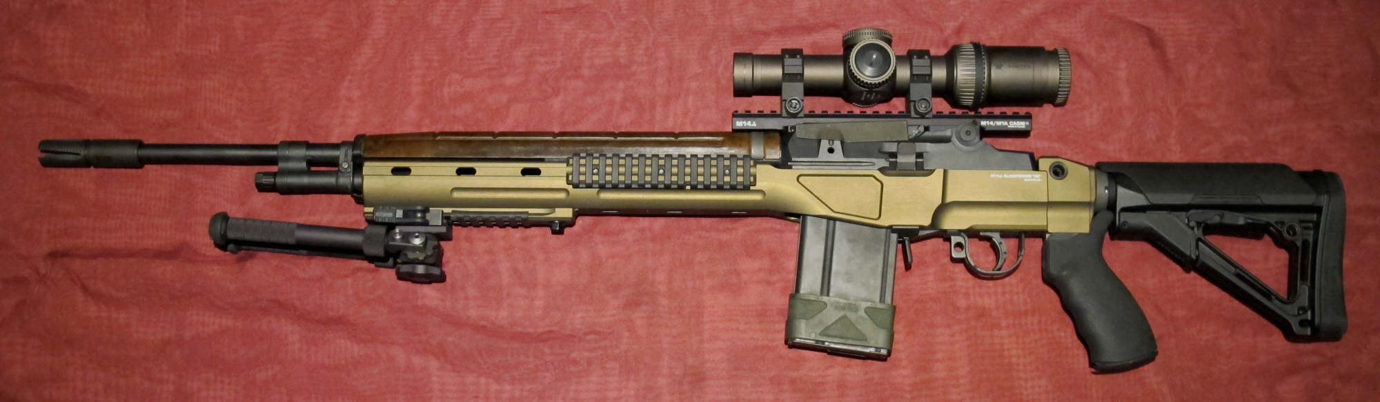 M21-A5.BF-RS.1.JPG