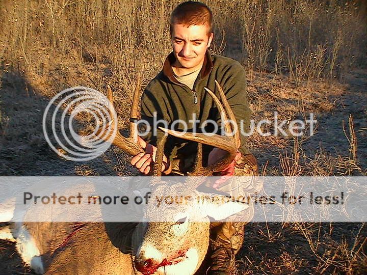 05buck07.jpg