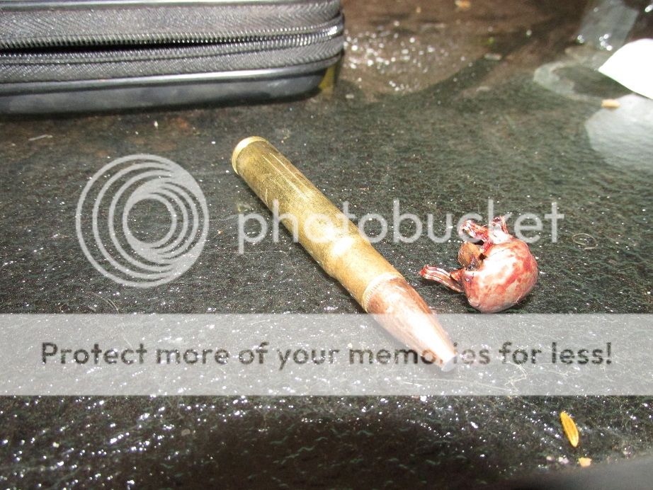 IMG_1532corelokt250.jpg~original