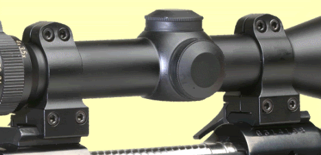 Warne03.gif