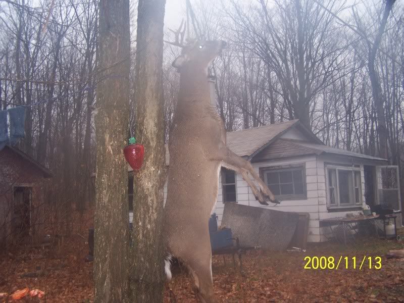 2008deerhunt013.jpg