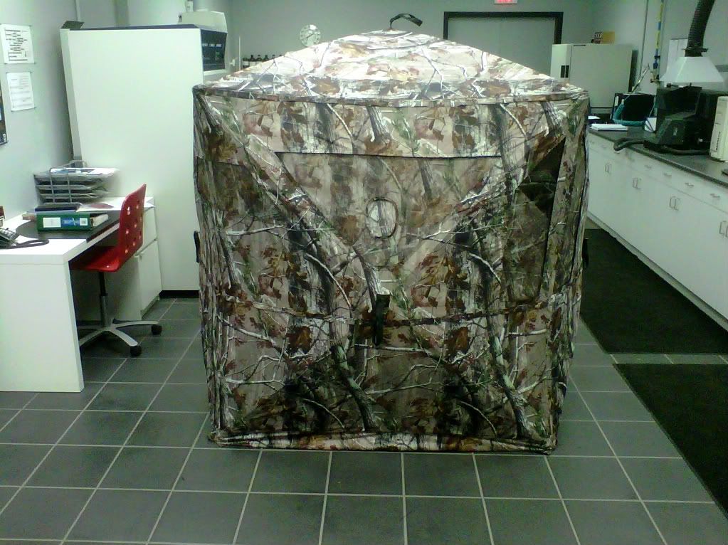 IMG00023-20110527-1904.jpg
