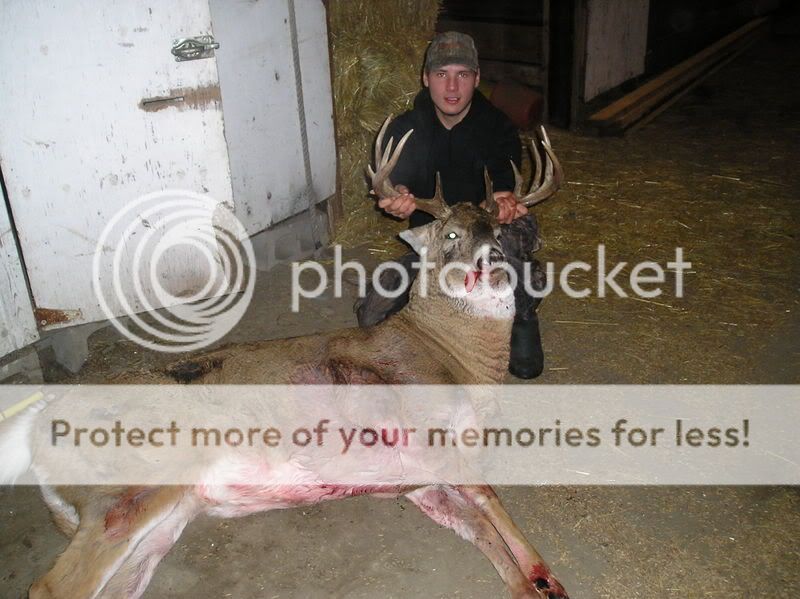 buck5.jpg