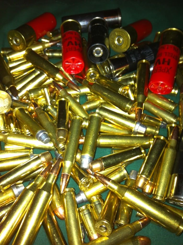 bullets1.jpg