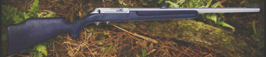 t-c_R55.jpg