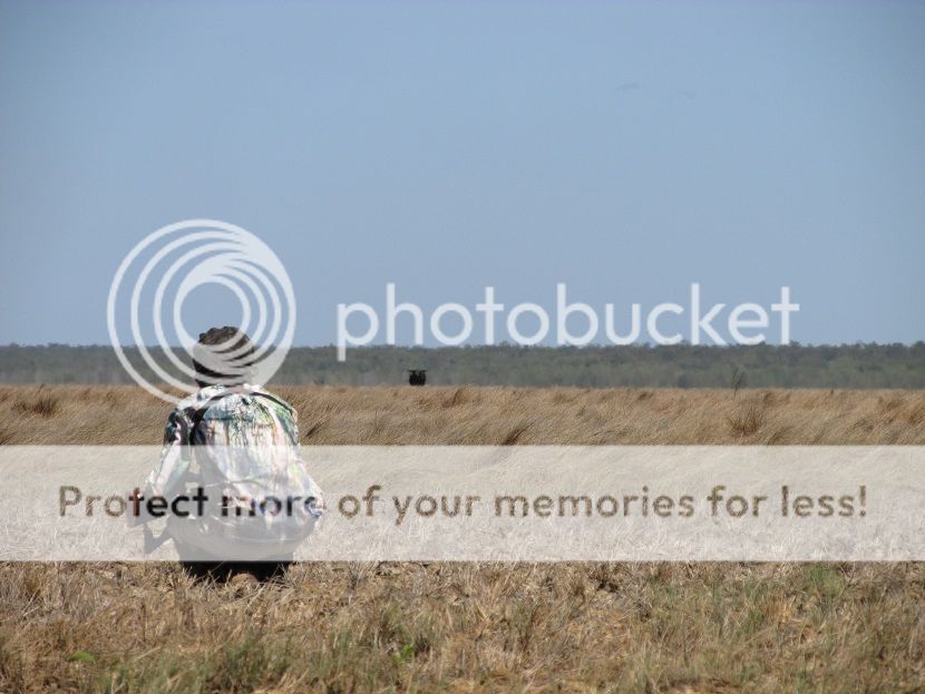 IMG_1259stalk3.jpg~original